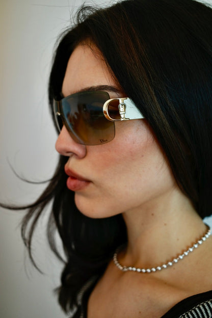 DIOR BUCKLE 1/S SUNGLASSES